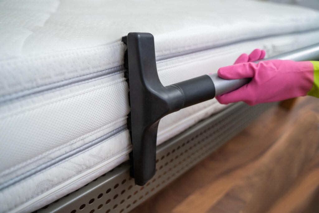 The Ultimate Guide to Professional Home Cleaning Services