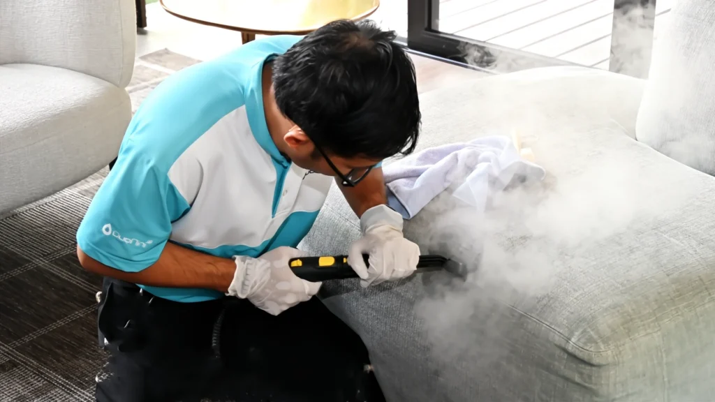 The Ultimate Guide to Professional Sofa Cleaning Services